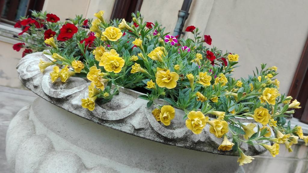 Scalabrini Hotel